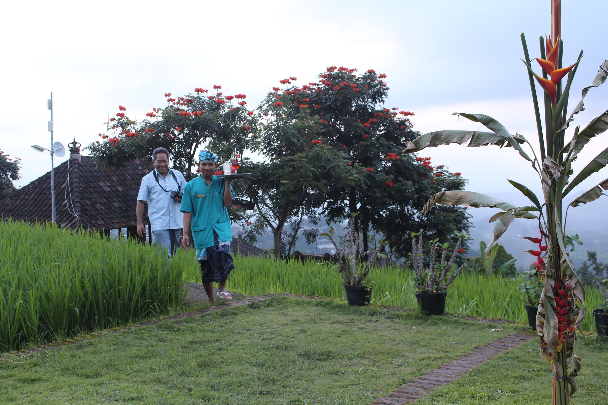 Puri Lumbung Cottages Gobleg  ภายนอก รูปภาพ