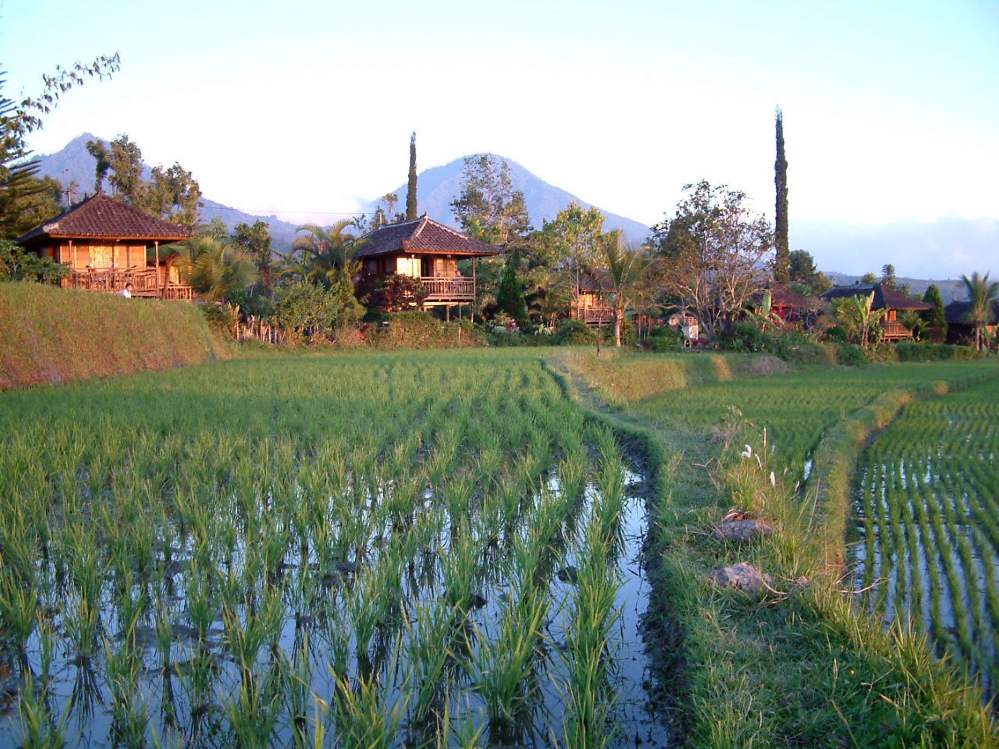 Puri Lumbung Cottages Gobleg  ภายนอก รูปภาพ