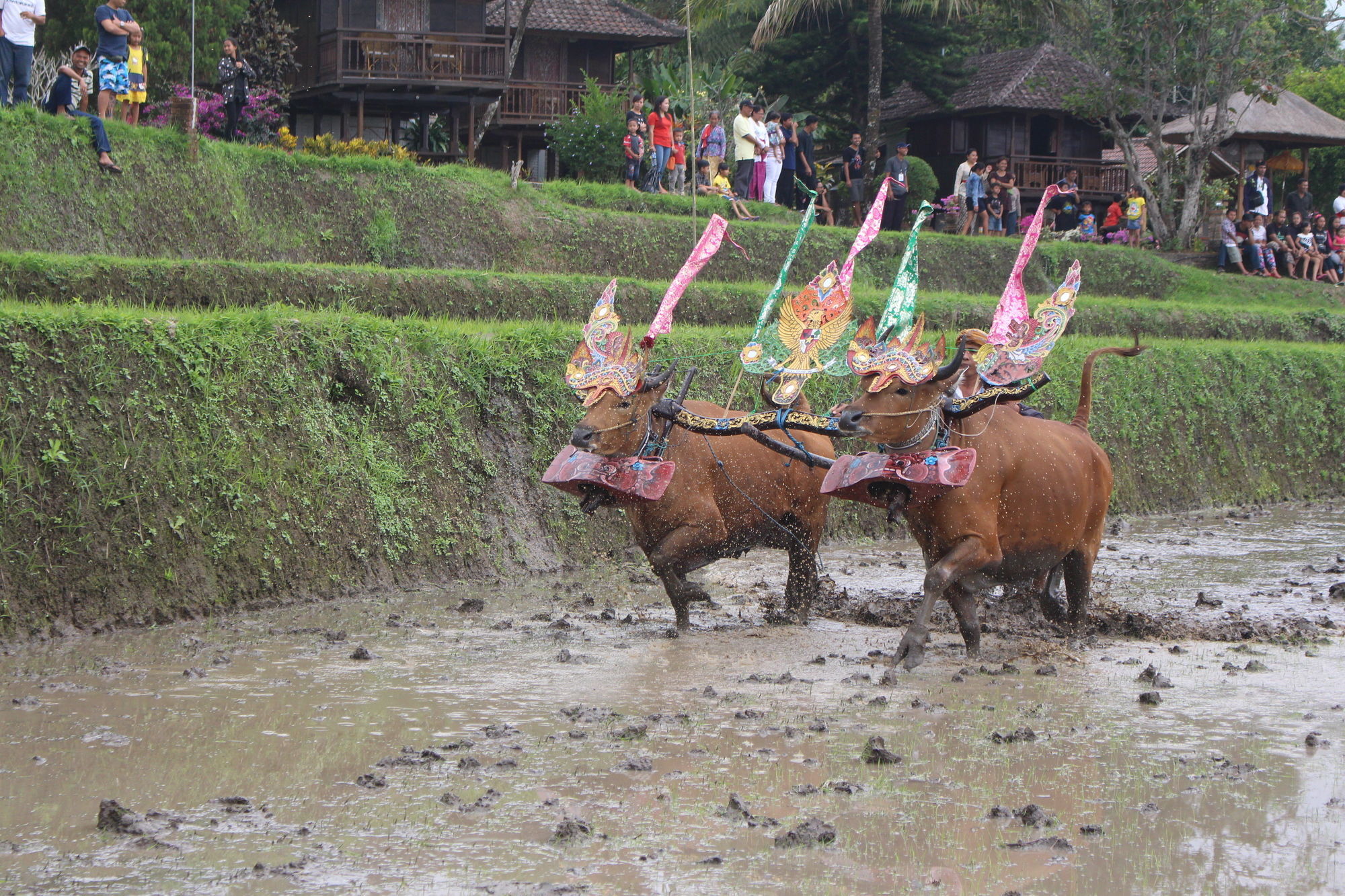Puri Lumbung Cottages Gobleg  ภายนอก รูปภาพ